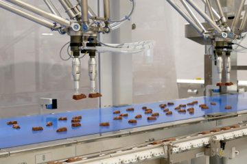Vision Picker: robot feeding system with camera for chocolate packaging