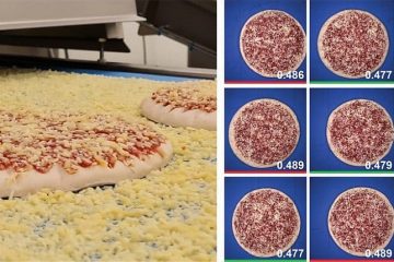 Smart Applicator Solution for pizza topping: Artificial Intelligence for bakery