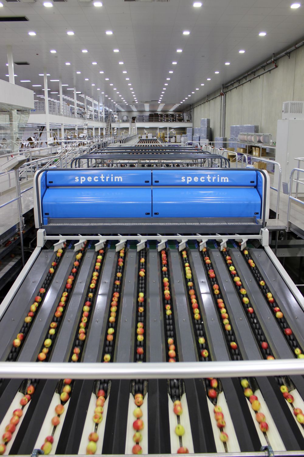 Apple packhouses Apple packhouses