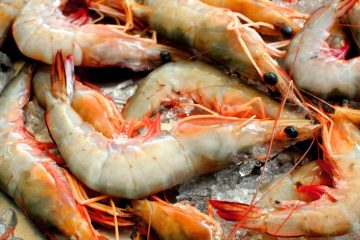 Safe process for fish and seafood products: tempering, defrosting, pasteurizing