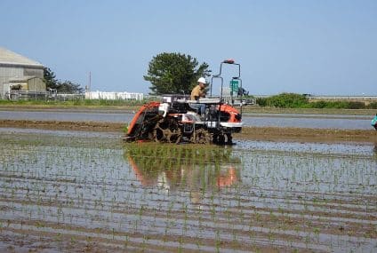 Rice production in Japan: farmers more sustainable and more competitive