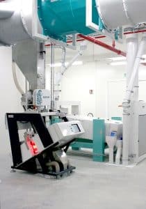 Greenfield soy plant Greenfield soy plant