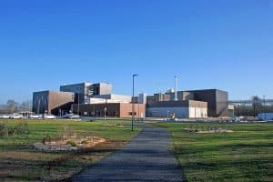 Greenfield soy plant Greenfield soy plant