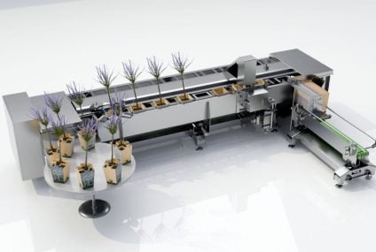 Horticulture packaging solution: packing machine with carton sleeve