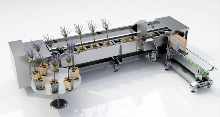 Horticulture packaging solution: packing machine with carton sleeve