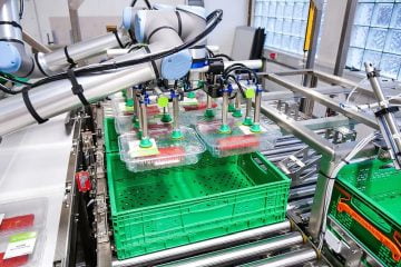 Picking solution for meat industry, vacuum technology and automation