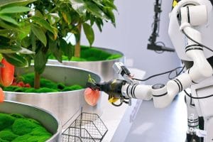 Humanoid robotics Humanoid robotics