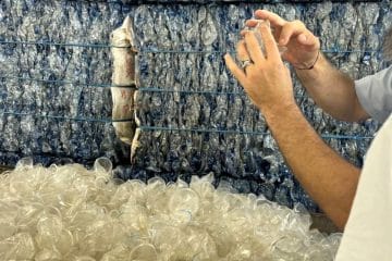 Recycled polypropylene meets European food contact standards