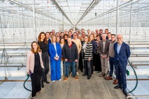 Reduction of CO₂ Reduction of CO₂