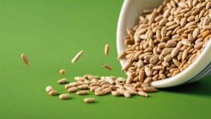 Sunflower Protein Sunflower Protein